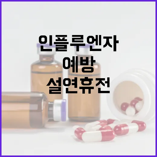 인플루엔자 예방 설 연휴 전 필수입니다!