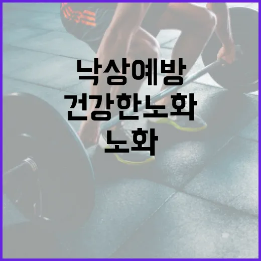 낙상 예방운동 건강…