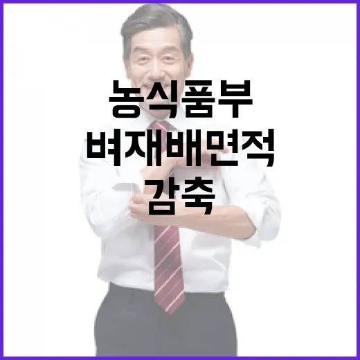 벼 재배면적 감축 농식품부가 밝힌 이유!