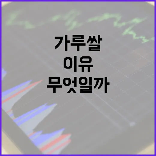 가루쌀 수급안정 기여하는 이유는 무엇일까?