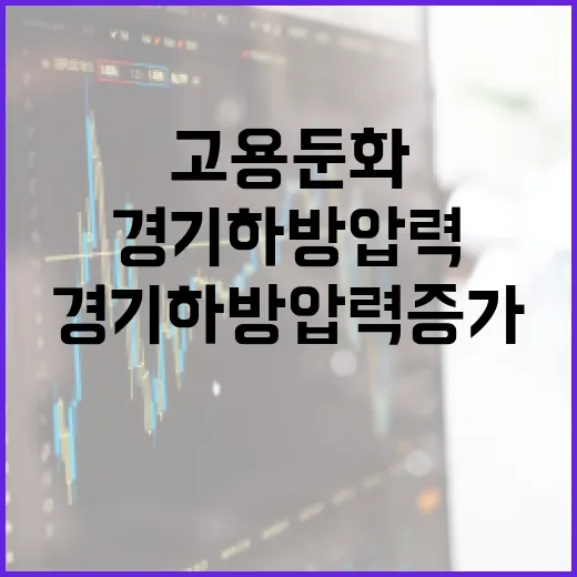 경제동향 고용 둔화와 경기 하방 압력 증가