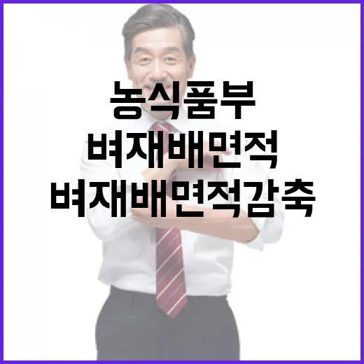 농식품부 벼 재배 면적 감축 통지 사실무근