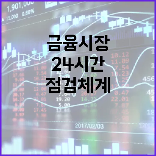 금융시장 점검체계 …