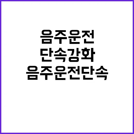 피서지 암행차 집중 배치, 음주운전 단속 강화!