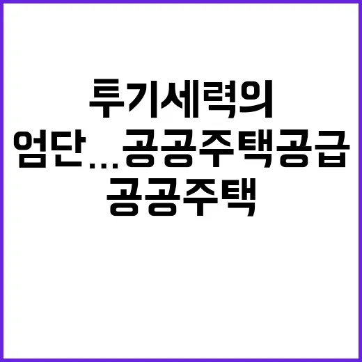 투기세력의 엄단…공…