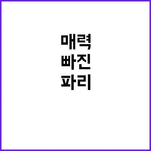 파리, 케이팝과 떡…