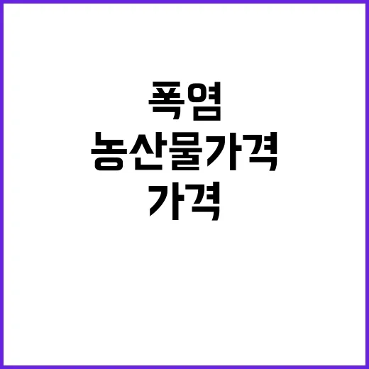 농산물 가격 폭염 소문, 농식품부의 진실 공개!