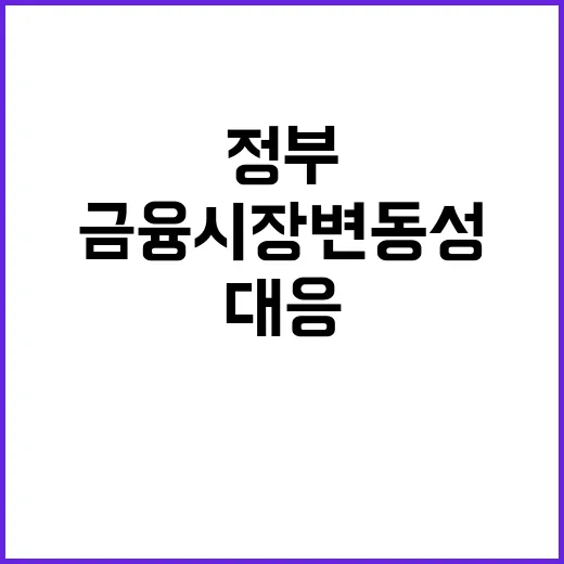 금융시장 변동성, …