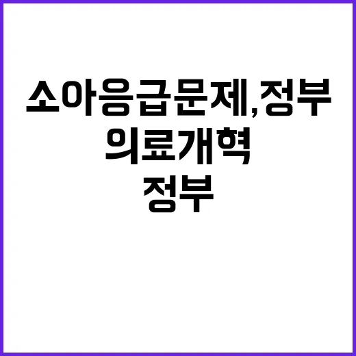 소아응급 문제, 정…