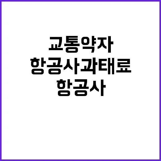 항공사 과태료, 교통약자 보호를 외면하다!