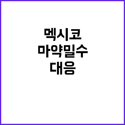 마약 밀수, 멕시코…