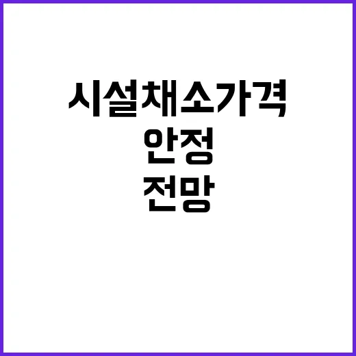 시설채소 가격 안정…