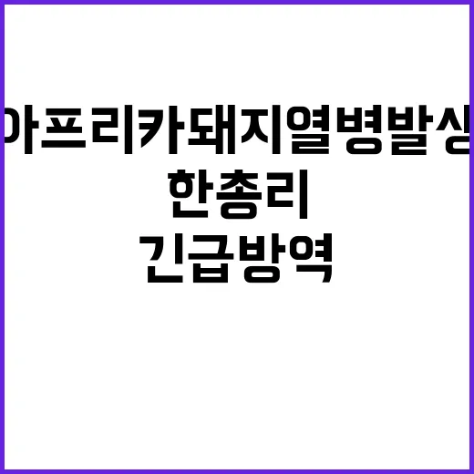 아프리카돼지열병 발…