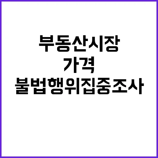 부동산 시장 불법행위 집중 조사로 가격 상승 가능성!