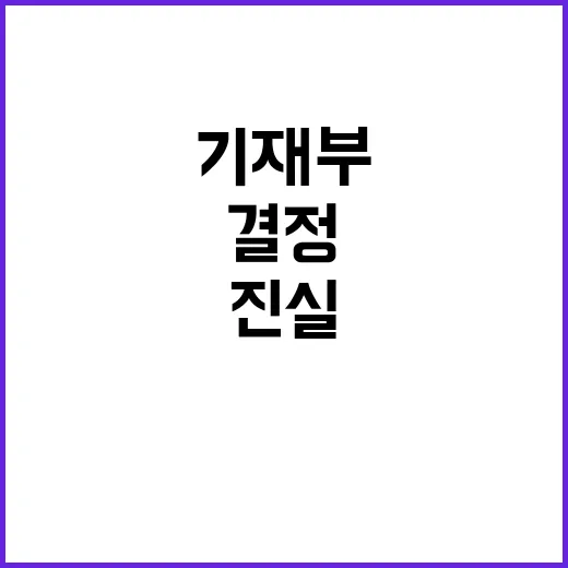 예산안 기재부의 결정 미흡한 상황에 대한 진실