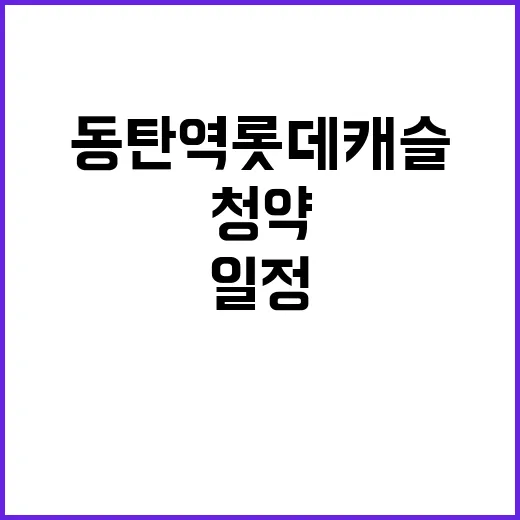 동탄역 롯데캐슬 분…