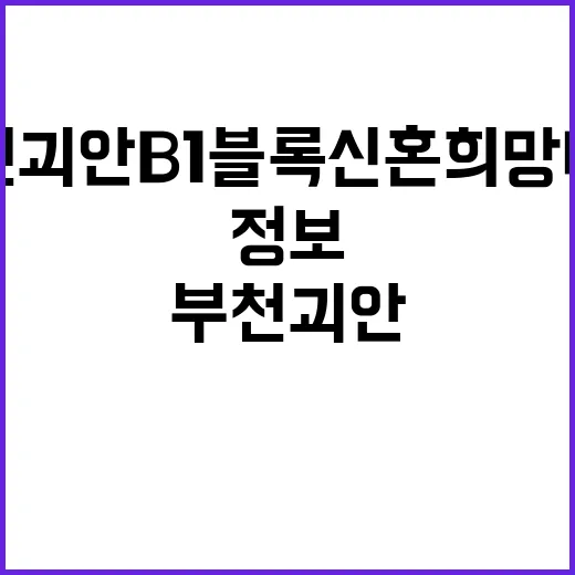 부천괴안 B1블록 신혼희망타운 추가모집 청약 정보 대공개