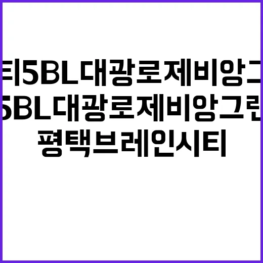 평택 브레인시티 5BL 대광로제비앙 그랜드센텀 청약 정보 확인