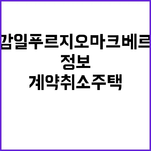 감일 푸르지오 마크베르 계약취소주택 재분양 정보와 조건!