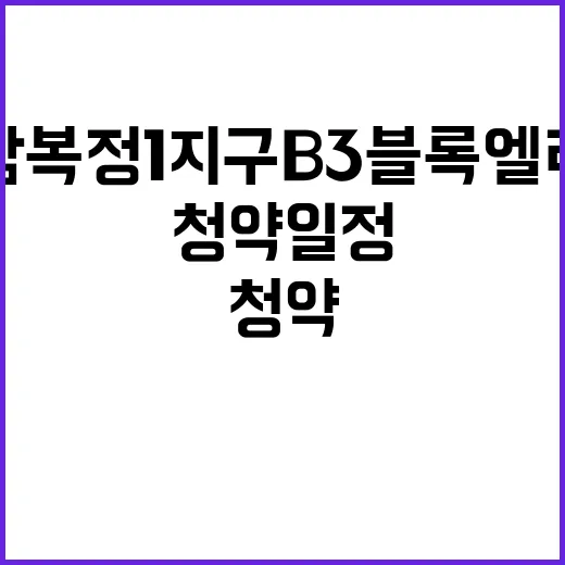 성남 복정1지구 B…