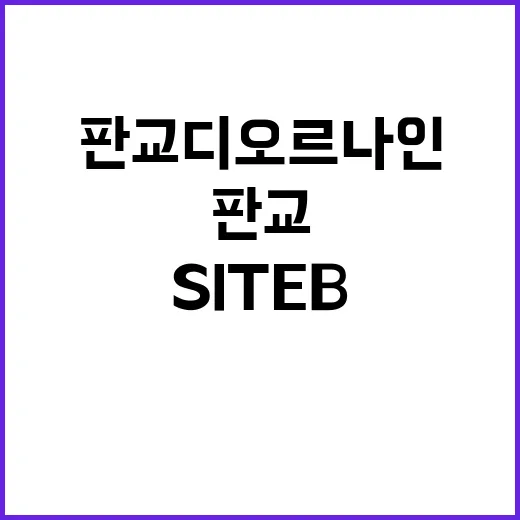 판교 디오르나인 S…