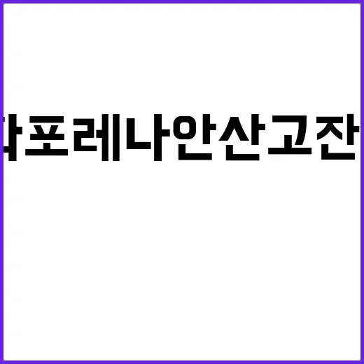 한화포레나 안산고잔…