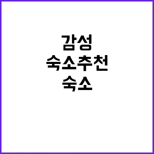 라곰 숙소 추천 편…