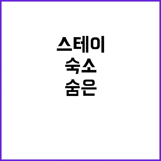 스테이온디엣지 독특…