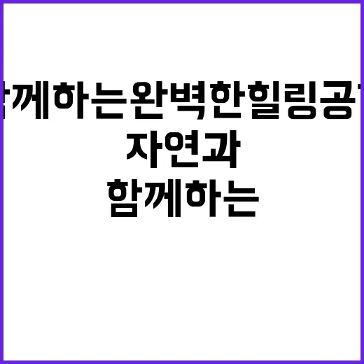 태양힐링숲