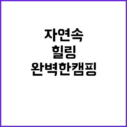 라구나캠프 자연 속…