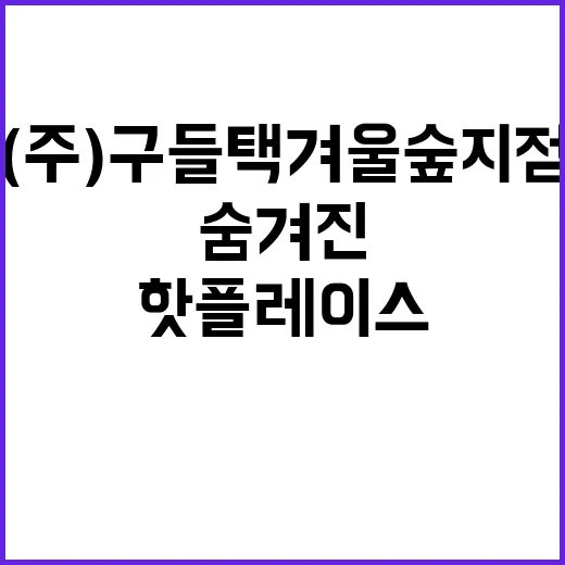 (주)구들택 겨울숲…