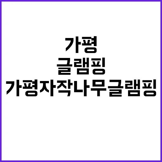 가평자작나무글램핑앤캠핑