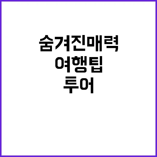 네팔 코리아투어