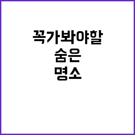 포천 땡큐247 캠핑장