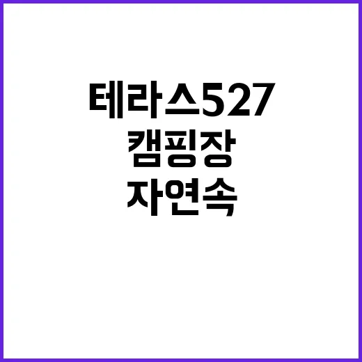 테라스527 캠핑장…