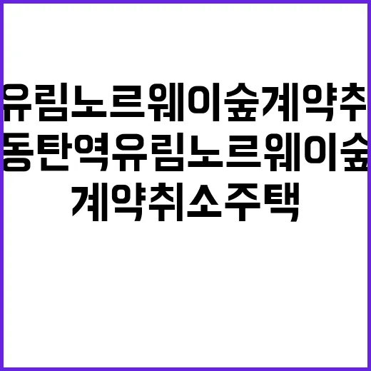 동탄역 유림노르웨이숲 계약취소주택 저렴한 가격에 기회!