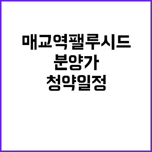 매교역 팰루시드 청약 일정 및 분양가 공개!