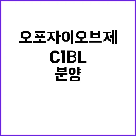 오포자이 오브제 C…