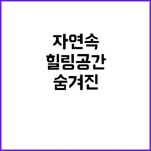 아인글램핑 숨겨진 …