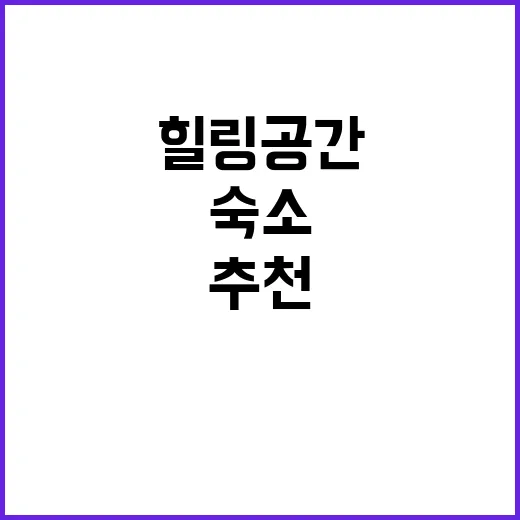 스토리숲 특별한 힐…