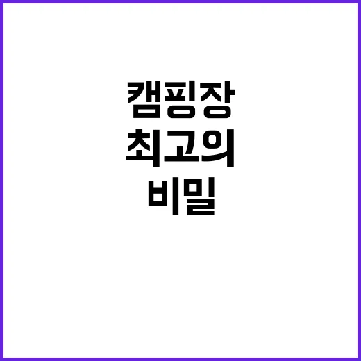 벤캠프 최고의 캠핑…