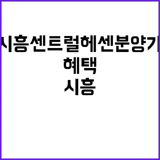 시흥 센트럴 헤센 …