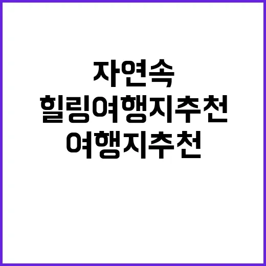 잭스캠프 자연 속 …