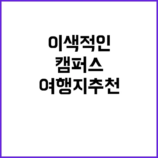 메이드캠퍼스 학생들…