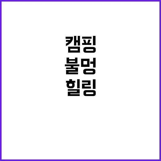 캠핑 앨리스