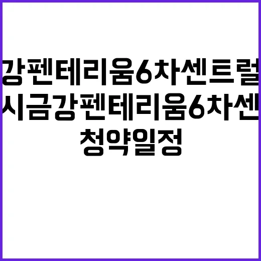 동탄신도시 금강펜테리움 6차 센트럴파크 청약 일정 공개!