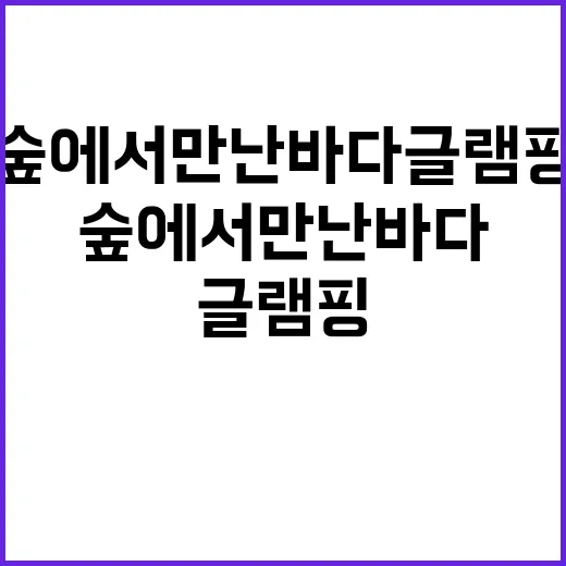 숲에서 만난 바다 글램핑