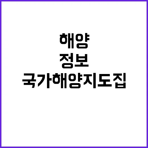 입양신청 개선 외국…