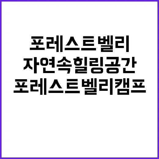 포레스트벨리캠프