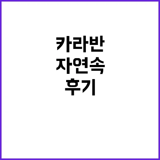 포쉬카라반